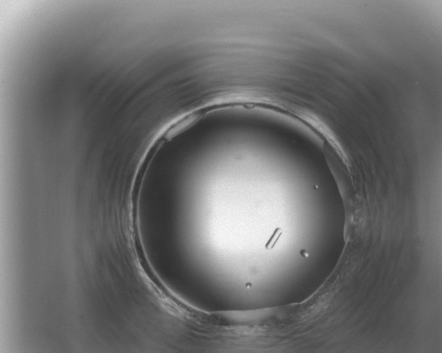 X0000064730996200602131245