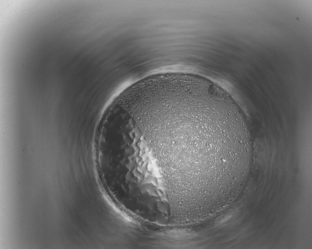 X0000064730998200602131245