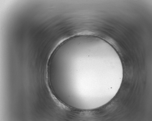 X0000064731000200602131245