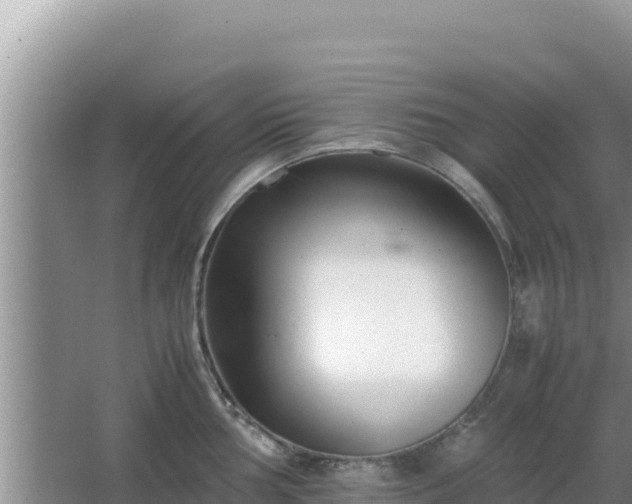 X0000064731002200602131245