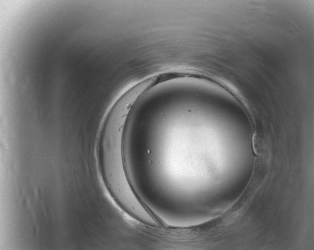 X0000064731007200602131245