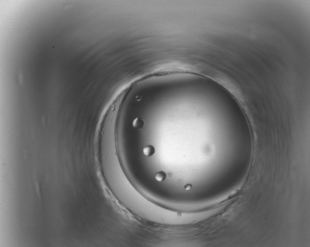 X0000064731008200602131245