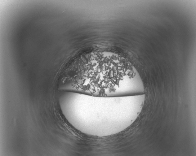 X0000064731009200602131244