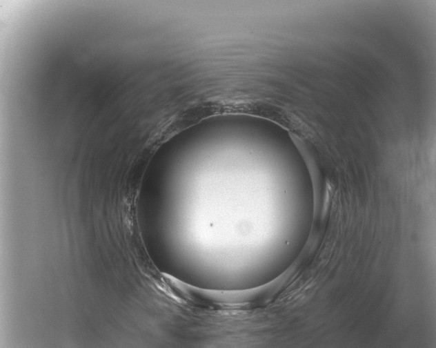 X0000064731010200602131244