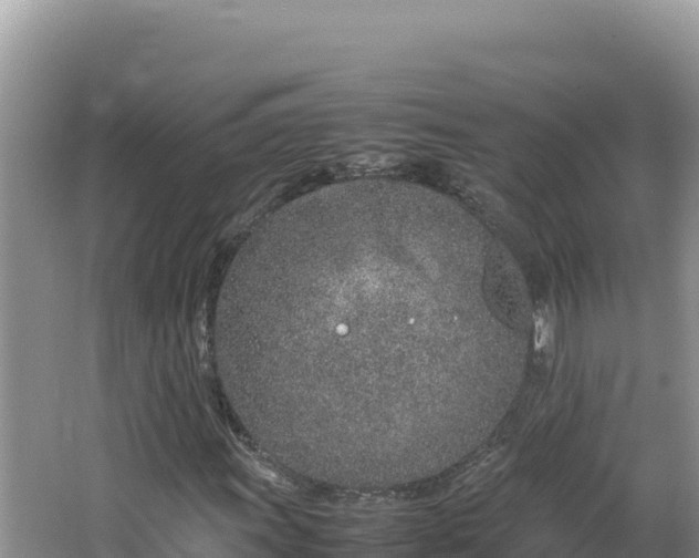 X0000064731011200602131244