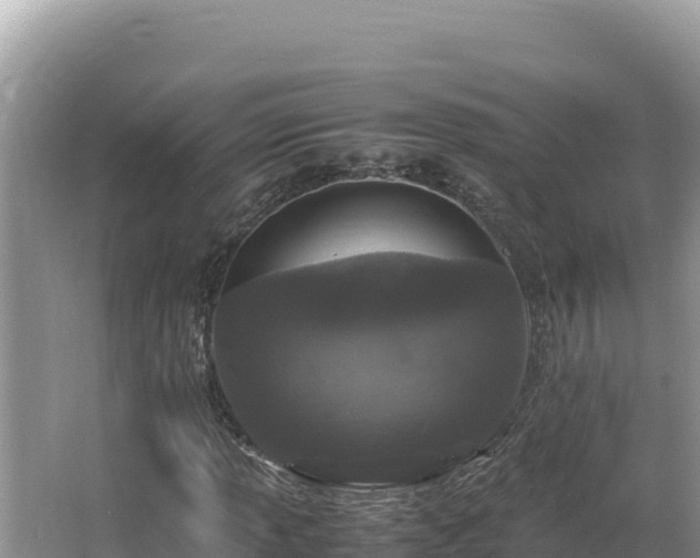 X0000064731013200602131244