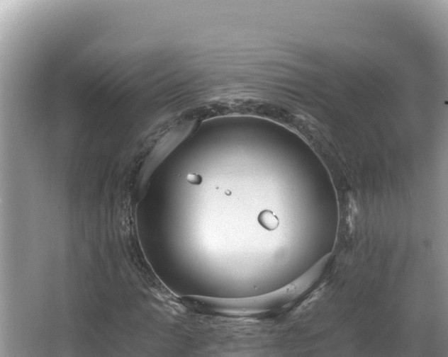 X0000064731014200602131244