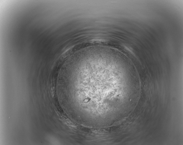 X0000064731015200602131244