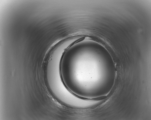 X0000064731018200602131244