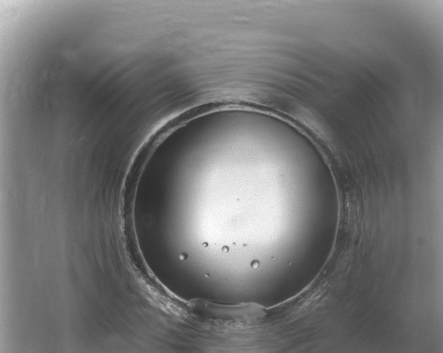 X0000064731020200602131245