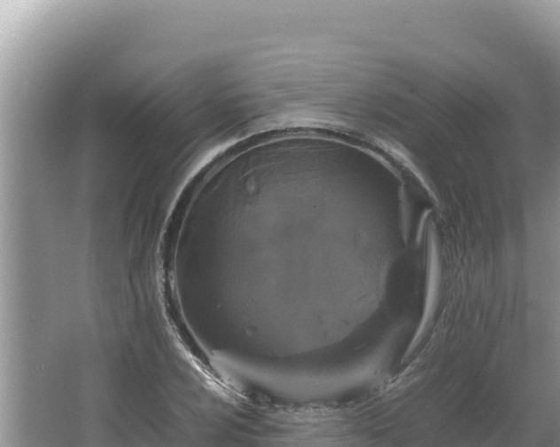 X0000064731024200602131245