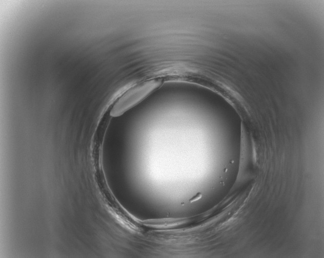 X0000064731026200602131245