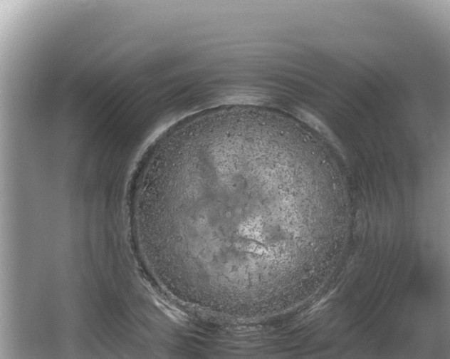 X0000064731027200602131245