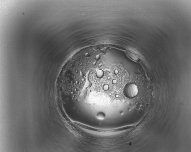 X0000064731031200602131245