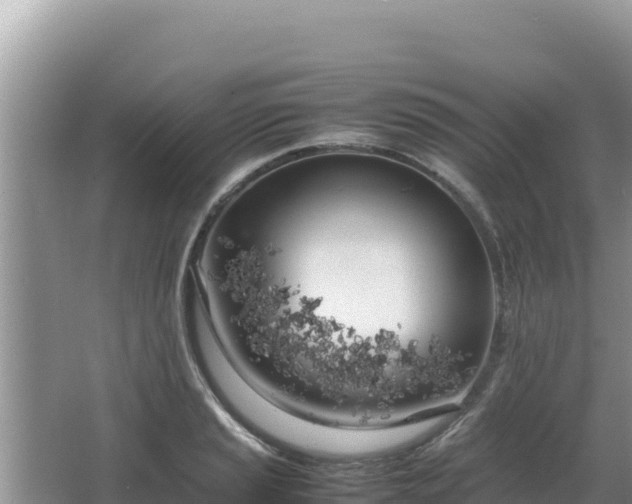 X0000064731037200602131245