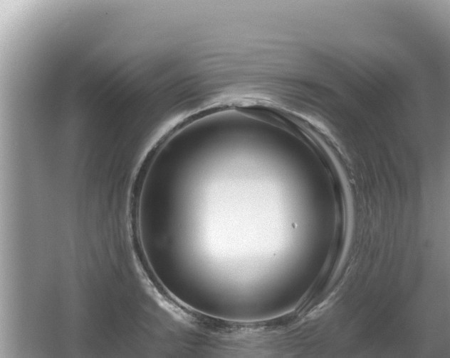 X0000064731038200602131245