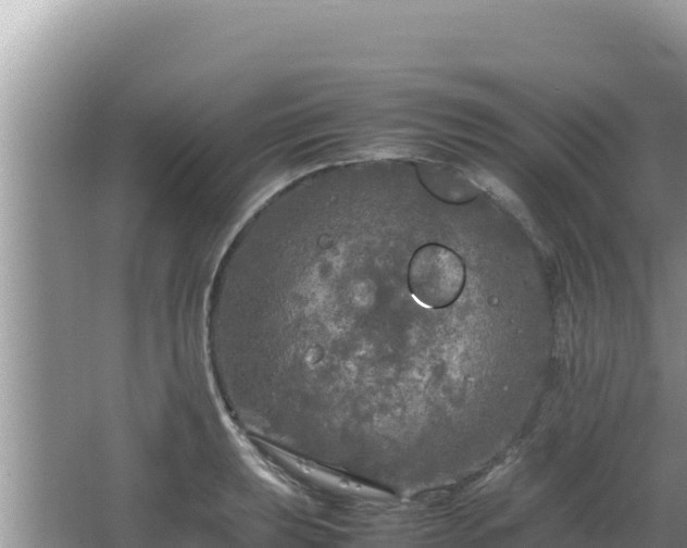 X0000064731039200602131245