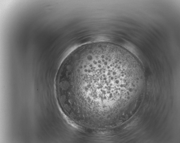 X0000064731047200602131245