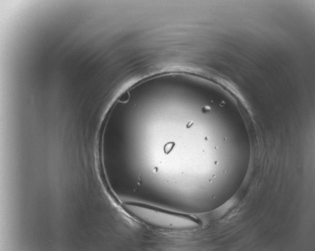 X0000064731048200602131245