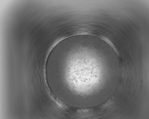 X0000064731051200602131245