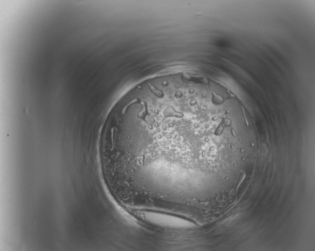 X0000064731055200602131245