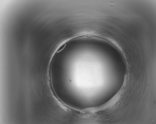 X0000064731056200602131245