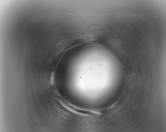 X0000064731058200602131244