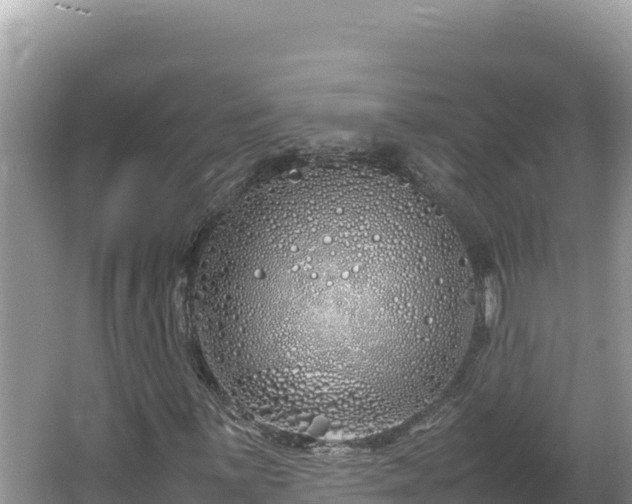 X0000064731059200602131244