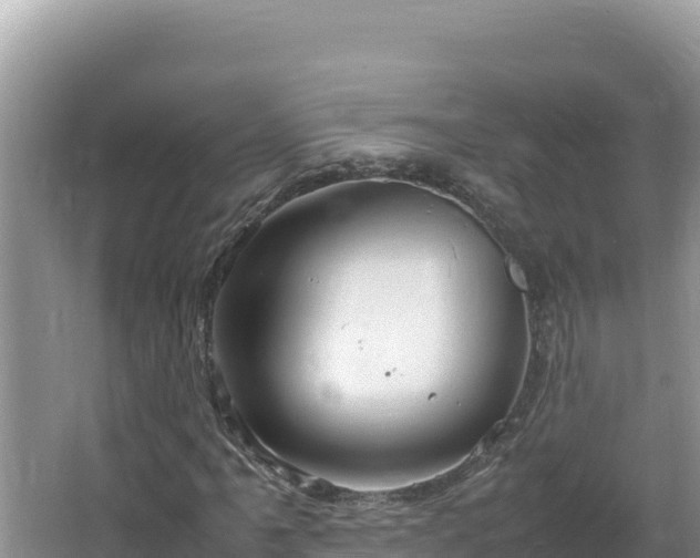 X0000064731061200602131244