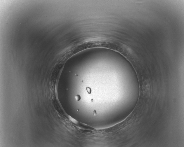 X0000064731062200602131244