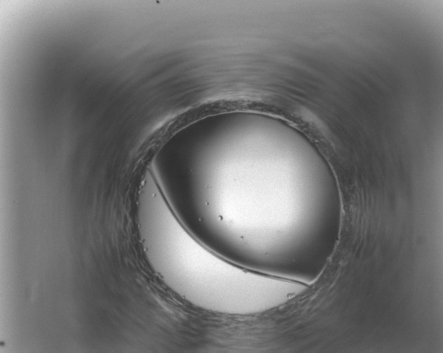 X0000064731064200602131244