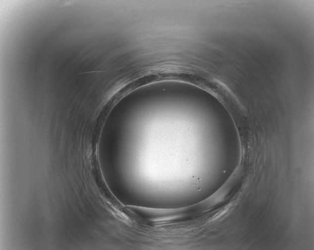 X0000064731065200602131244