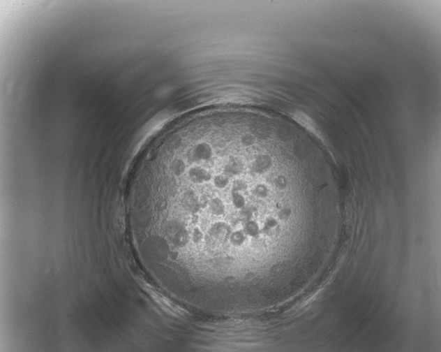 X0000064731067200602131244