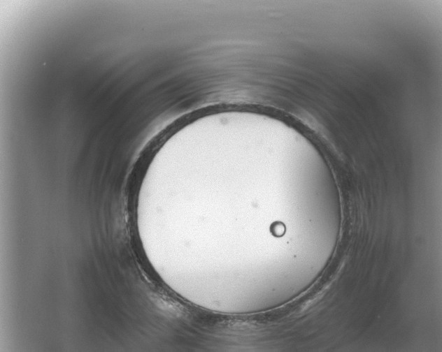 X0000064731070200602131244