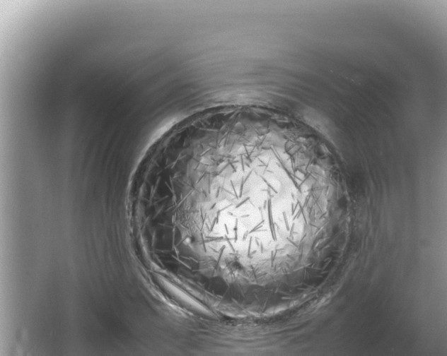 X0000064731071200602131244