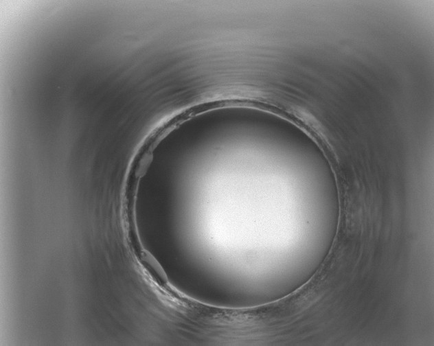 X0000064731072200602131244