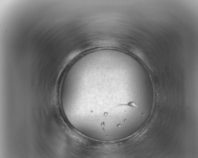 X0000064731074200602131244