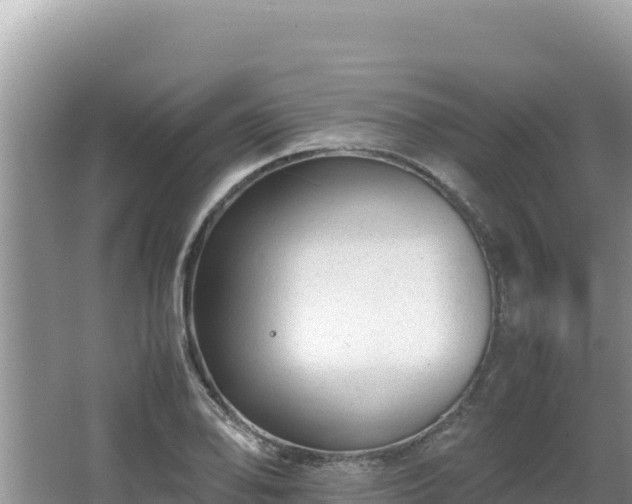 X0000064731078200602131244