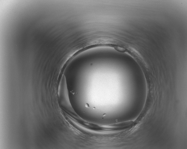 X0000064731081200602131244