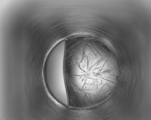 X0000064731084200602131244