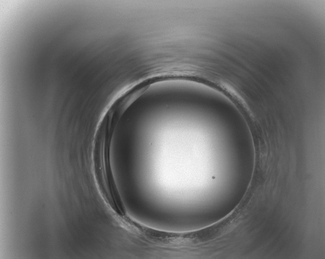 X0000064731085200602131244