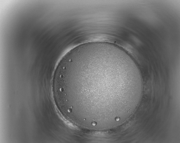 X0000064731086200602131244