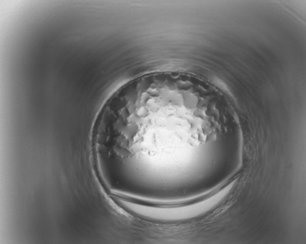 X0000064731087200602131244