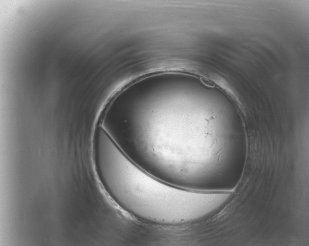 X0000064731088200602131244