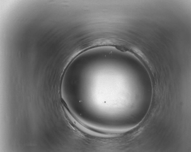 X0000064731089200602131244