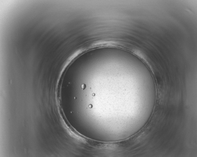 X0000064731090200602131244