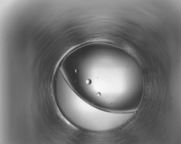 X0000064731092200602131244