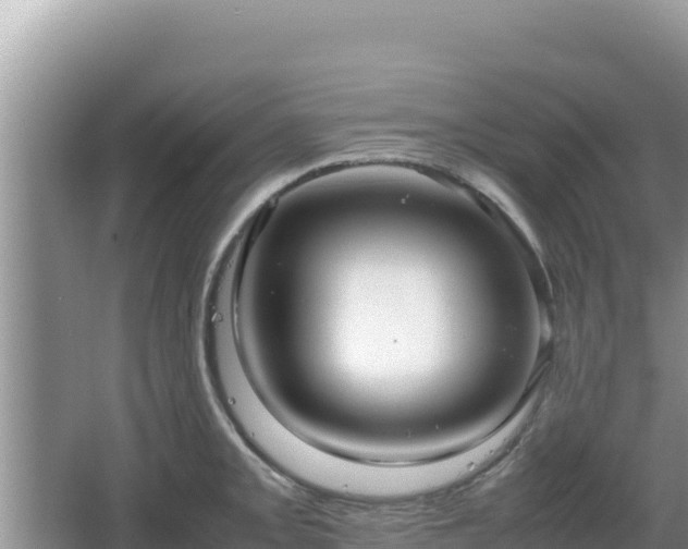 X0000064731093200602131244