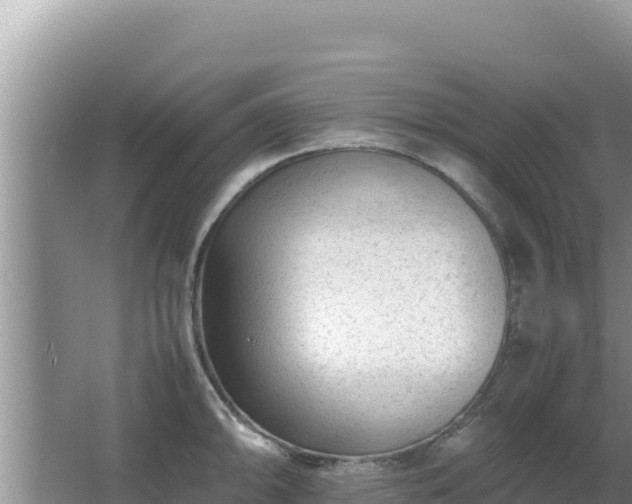 X0000064731094200602131244