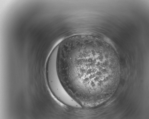 X0000064731095200602131244